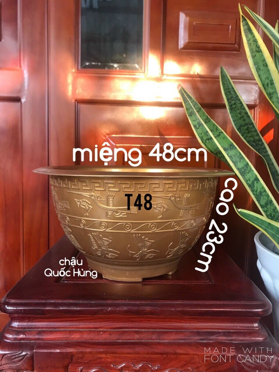 Combo 5 chậu nhựa nhựa trồng cây T48 vàng