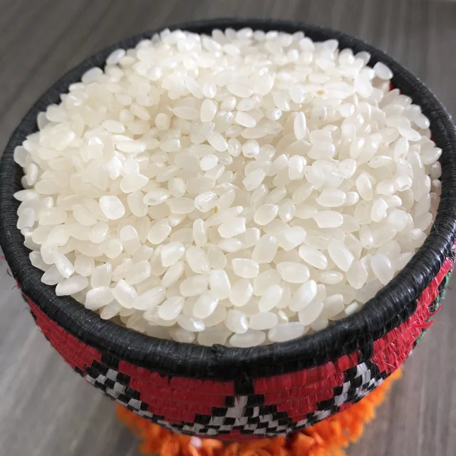 Hạt giống lúa Nhật Japonica túi 1kg