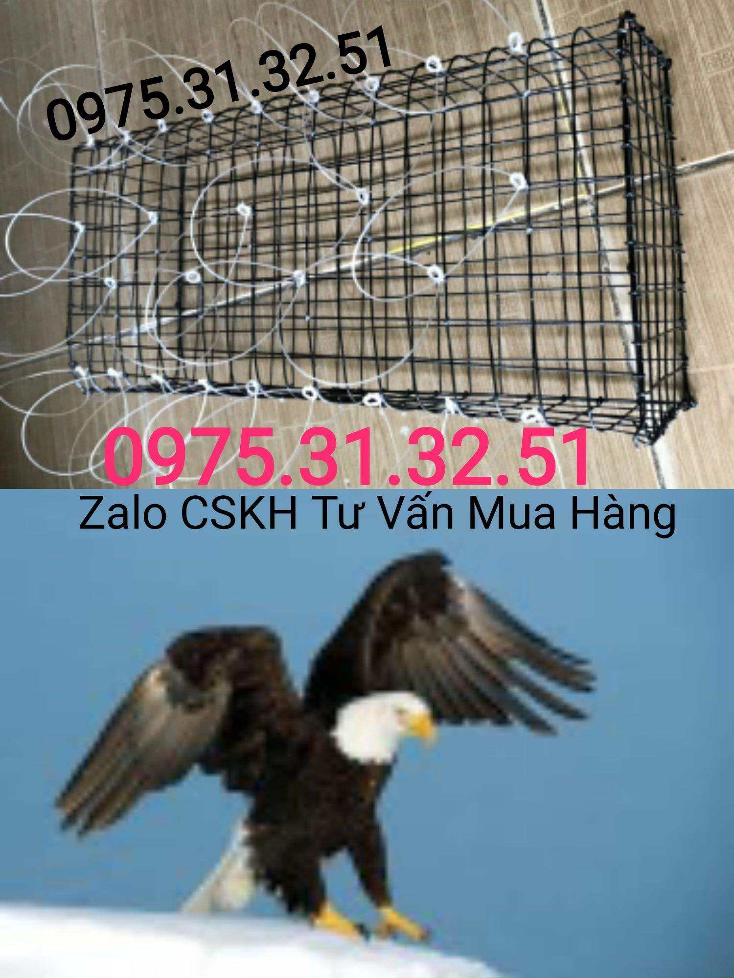 Lồng bẫy chim ưng đại bàng diều hâu