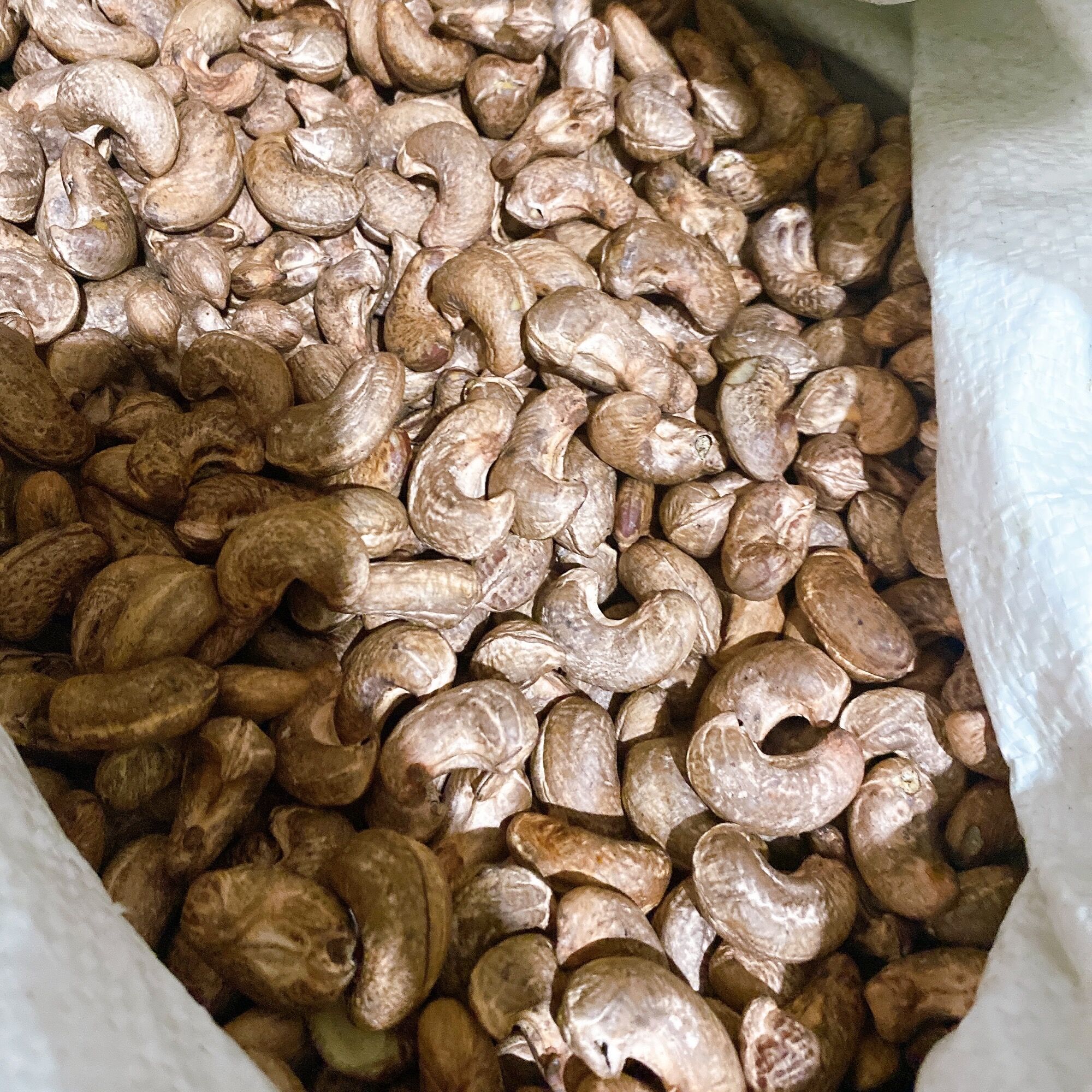 500G Hạt điều nguyên lụa rang muối Bình Phước Size A