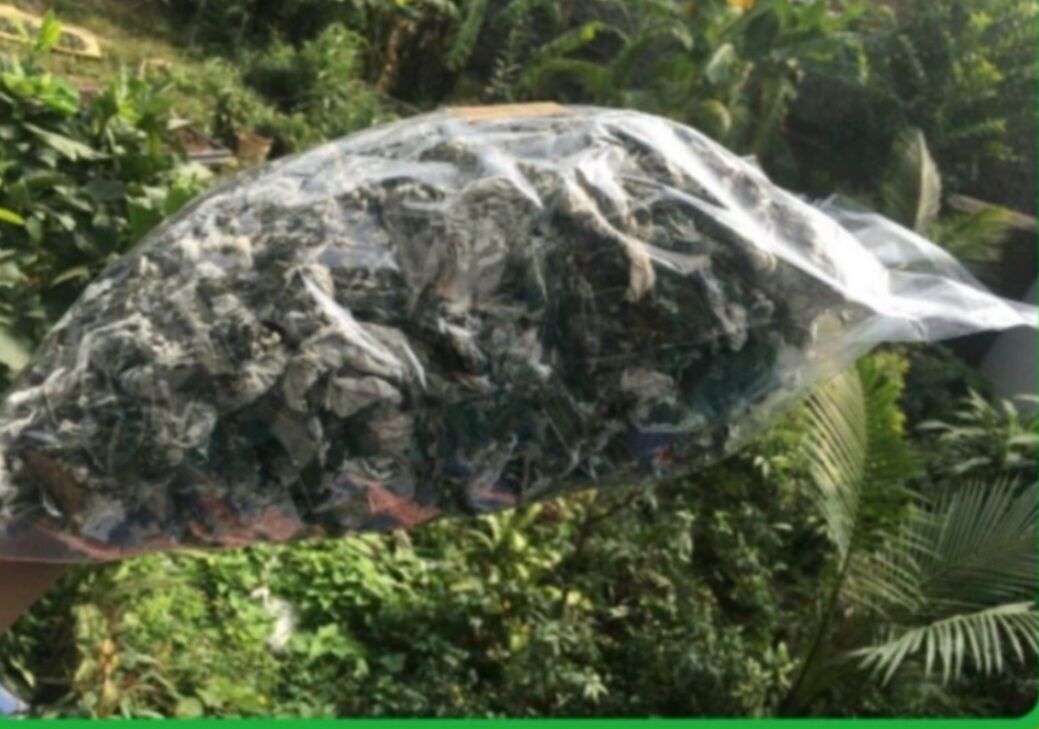 1 Ký Bột Lá Gai nguyên chất 100%