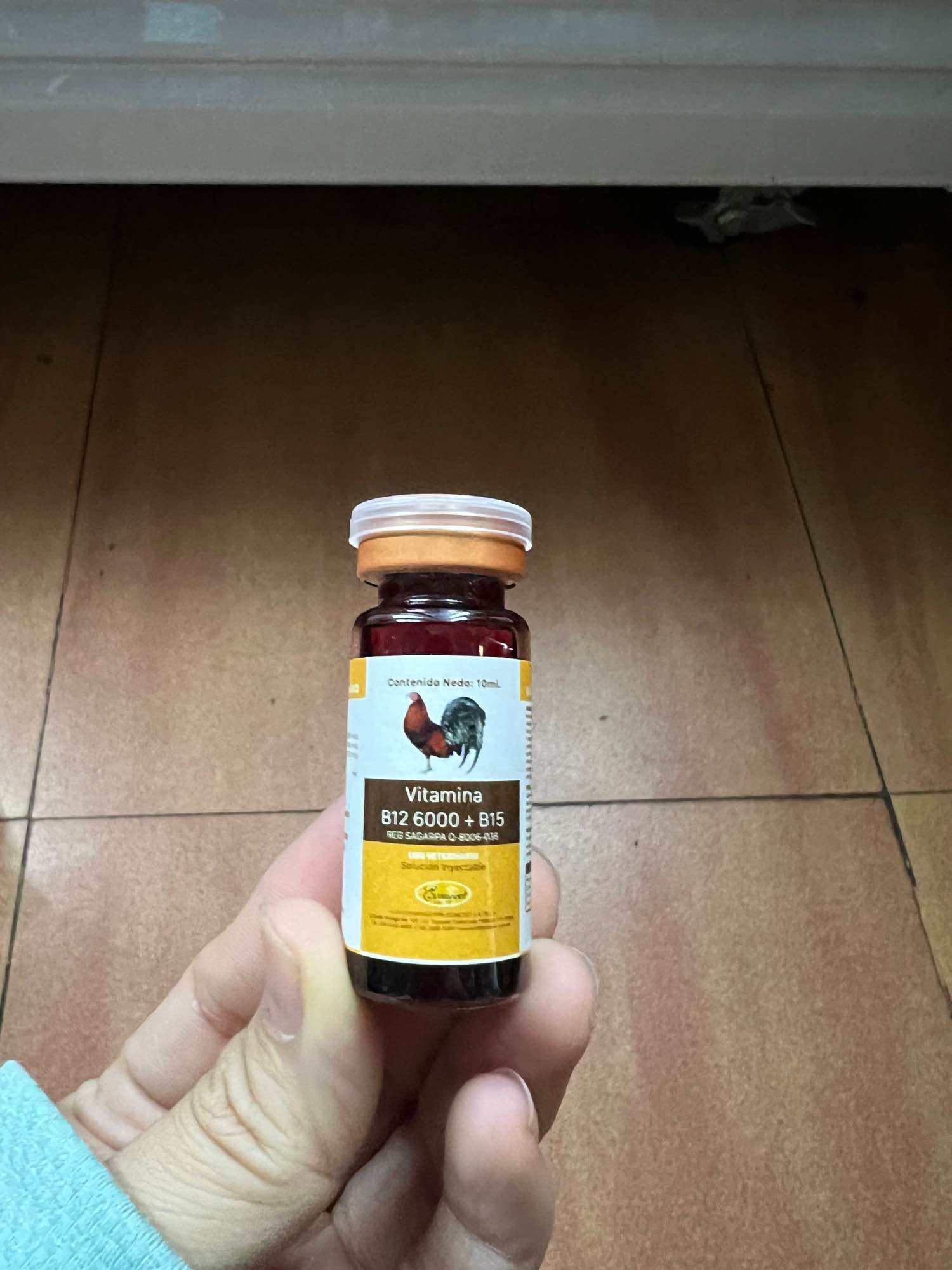 vitamin B12 6000 Chai 10ml-Sản Phẩm Cho Gà Đá