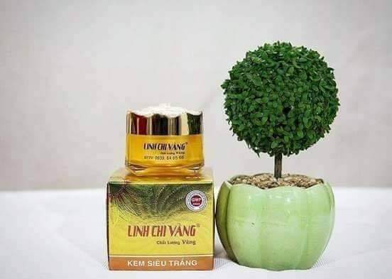 Kem dưỡng da siêu trắng linh chi vàng 25g
