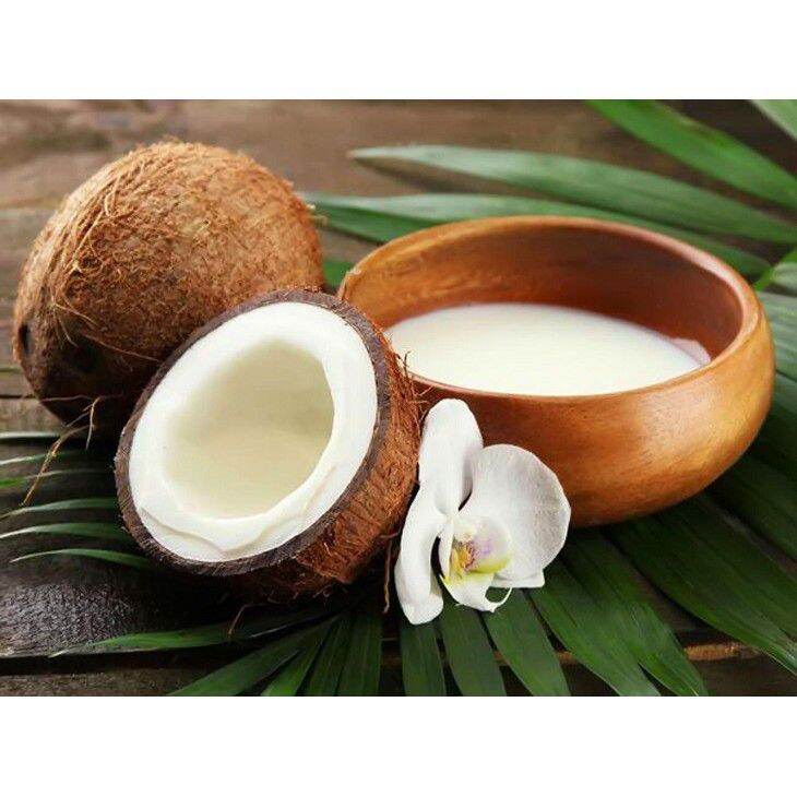 nước cốt dừa bến tre lon 400ml
