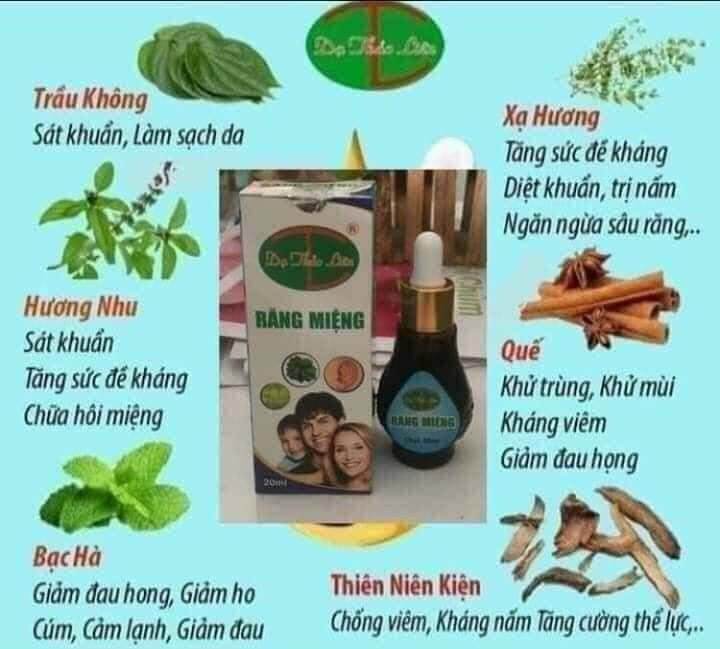 Tinh dầu dạ Thảo liên 5ml bán sỉ