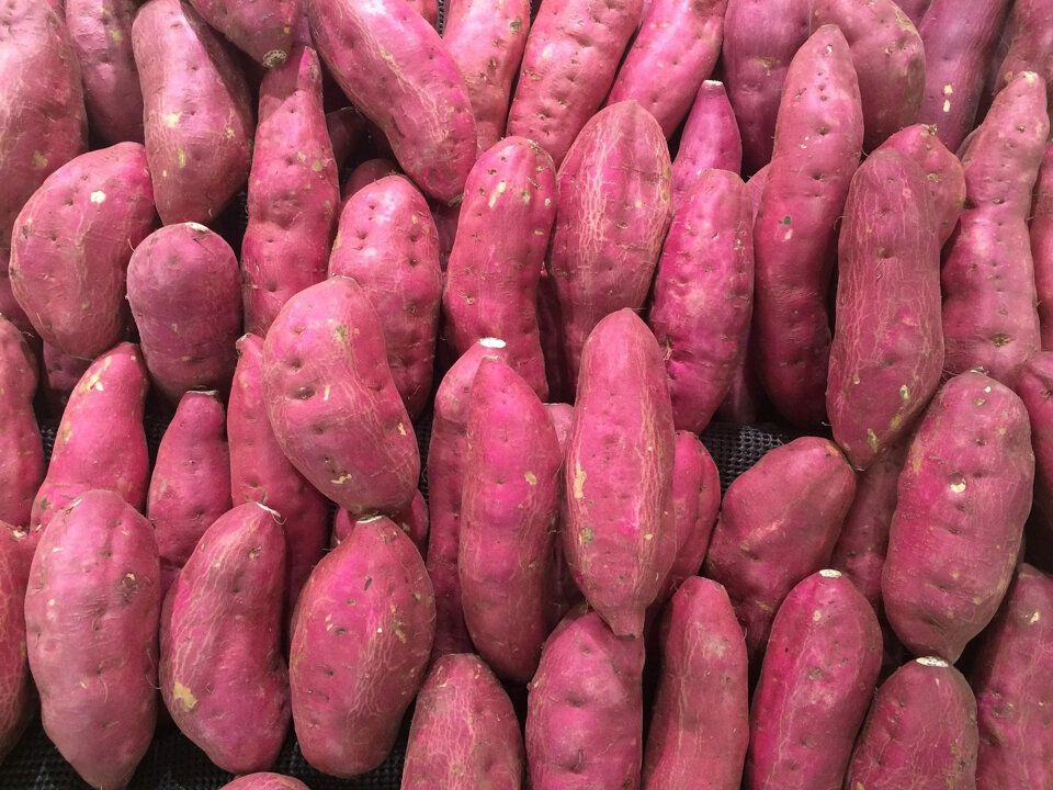 Khoai Lang Nhật củ Thon Dài 1kg