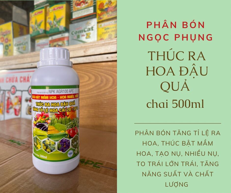 Thúc ra hoa đậu quả chai 500ml - tăng tỉ lệ ra hoa, thúc bật mầm hoa, tạo nụ nhiều nụ, đậu quả, tăng năng suất