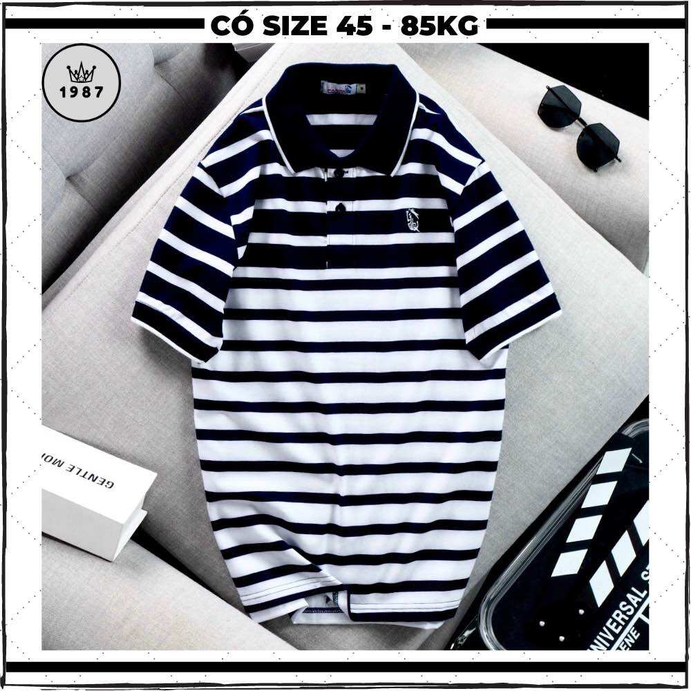 Áo thun nam trung niên có cổ, áo polo nam trung niên cotton thun lạnh kiểu dáng basic, áo cho bố