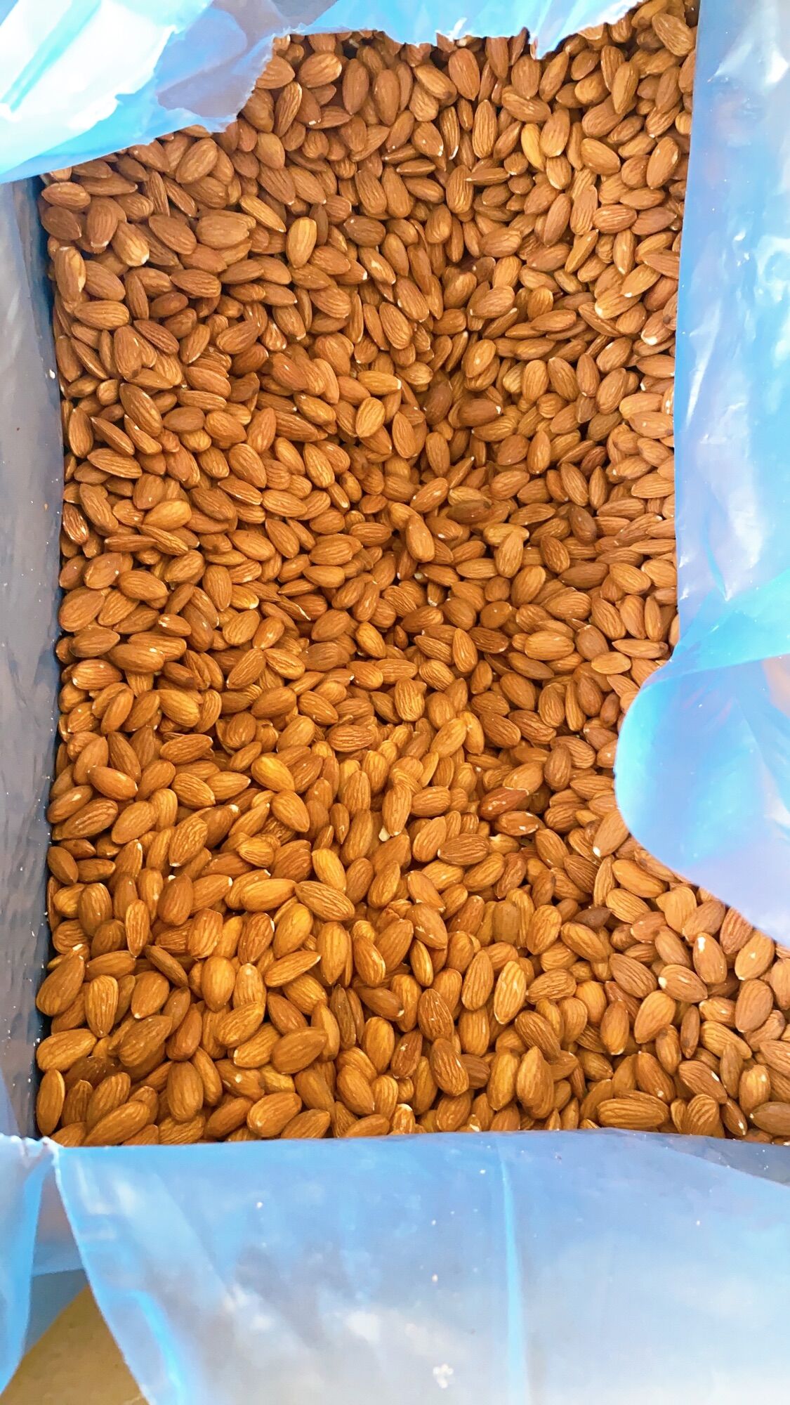 500G Hạt hạnh nhân Mỹ đã sấy chín