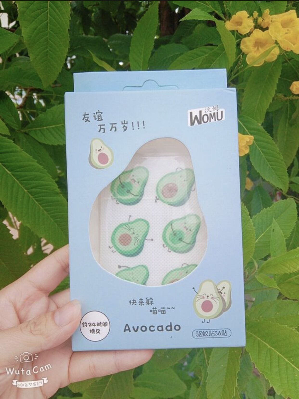 Miếng Dán Chống Muỗi Đốt Hình Trái Bơ Cute Dễ Thương