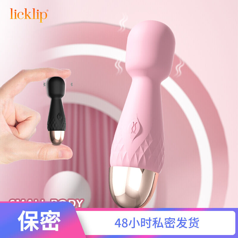 Licklip Mini AV Wand 10 Mode Vibrators USB Charging Toy