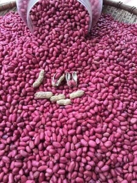 1 Kg lạc đỏ tách vỏ, lạc đỏ quê không chất bảo quản