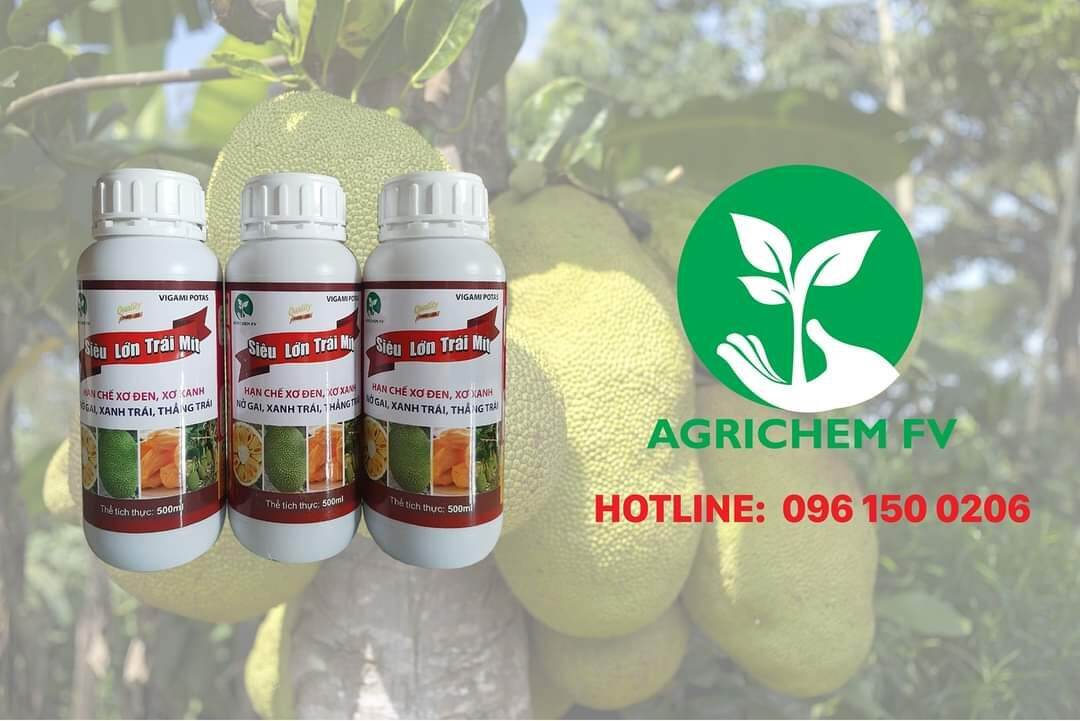 Phân Siêu lớn trái Mít 500ml