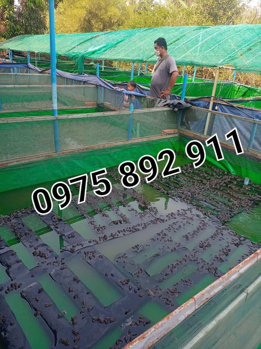 Bể bạt nuôi ốc ếch cá lươn chạch 4x2x0,8 xanh bộ đội