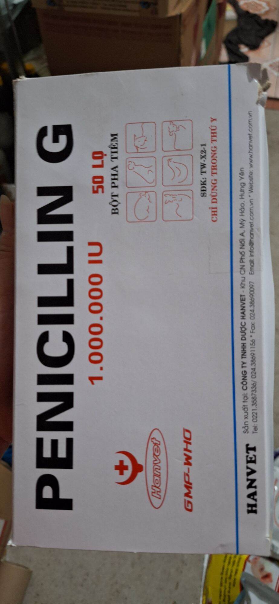 Penicillin G pha tiêm của hanvet ( 1 hộp/50 lọ)