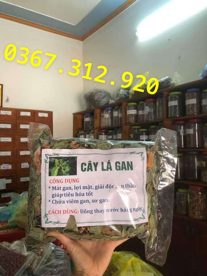 Cây Lá Gan khô .sạch giúp mát gan