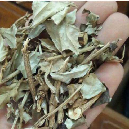 [ Shop Mới ] 1kg Khổ Sâm mới, khô, sạch