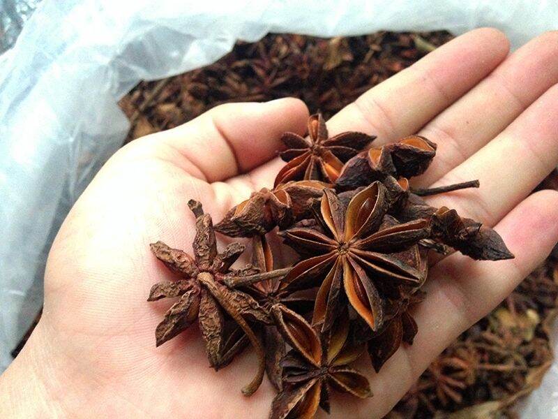 Hoa hồi khô 100gr