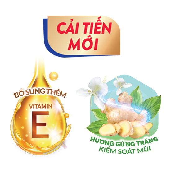 Tã dán Caryn người lớn XL20