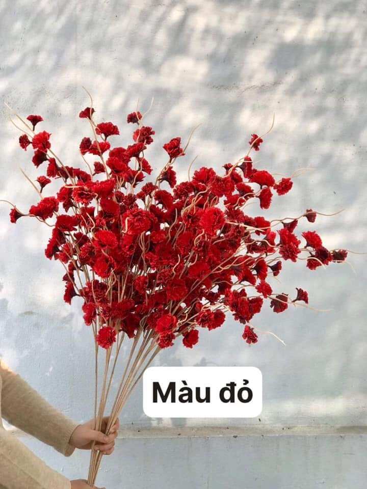đào râu màu đỏ rất xinh,rất may mắn,bó 3-5 nhánh