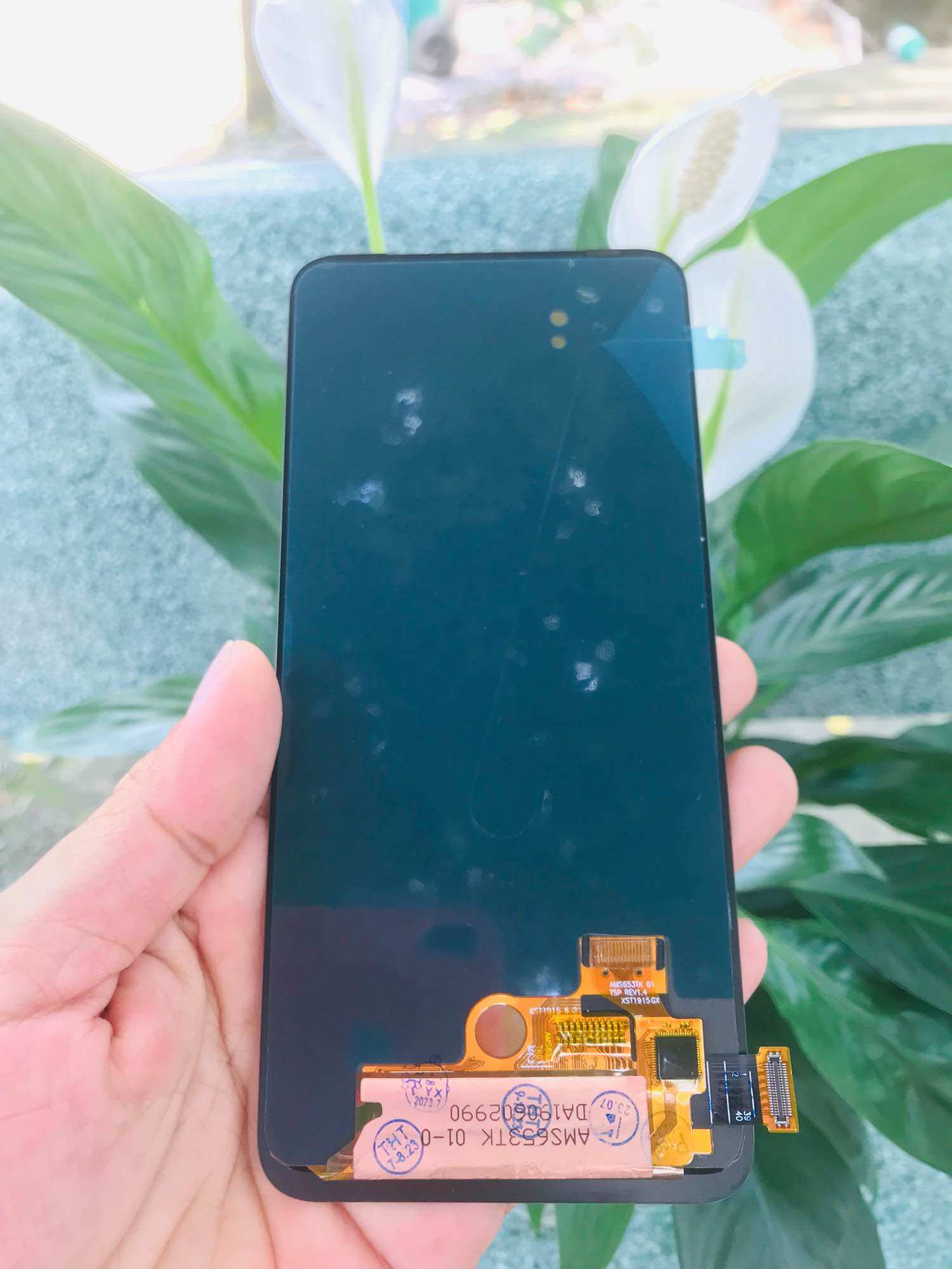 Màn hình Oppo Reno 2F oled có vân tay