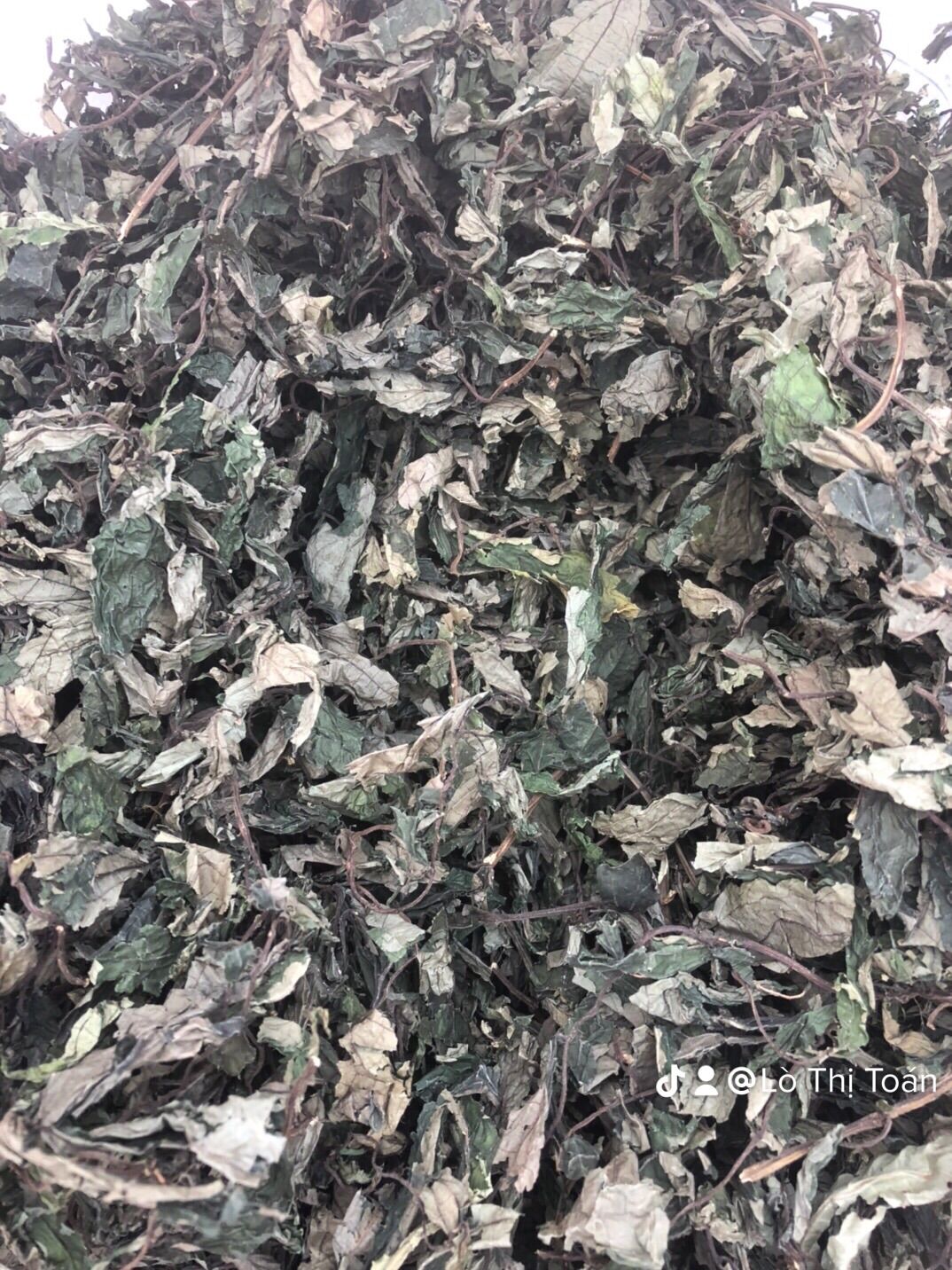 Lá đắng khô Tây Bắc 300k/kg