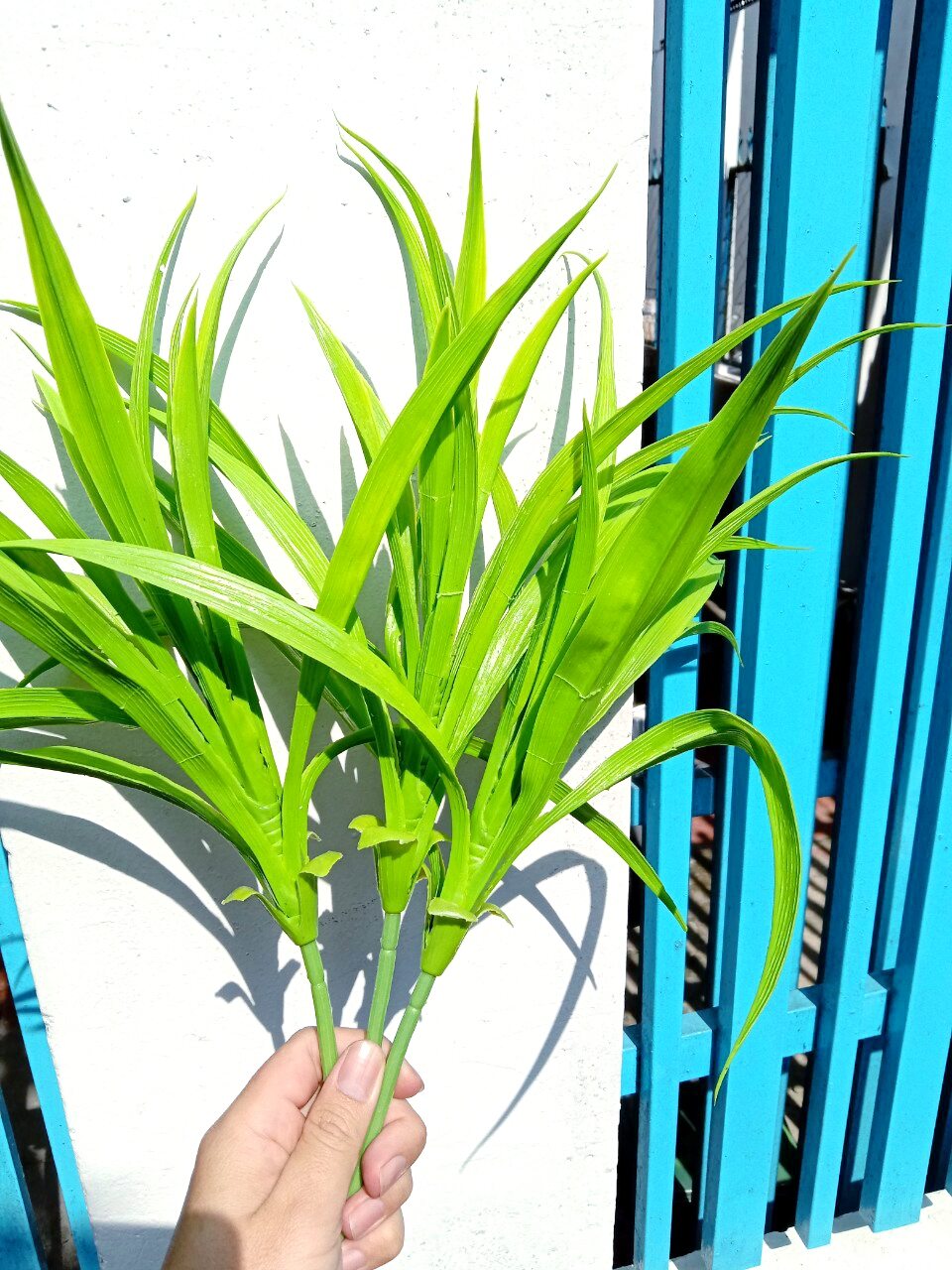 hoa lụa - cụm lá dứa, lá lan nhưa