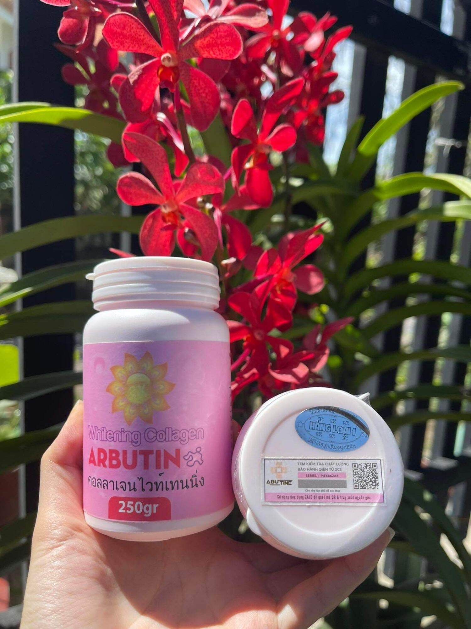 Kích trắng arbutine hồng hủ to 250g