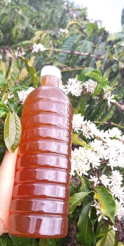 MẬT ONG HOA CÀ PHÊ ĐẮK LẮK chai 1lít🍯🍯