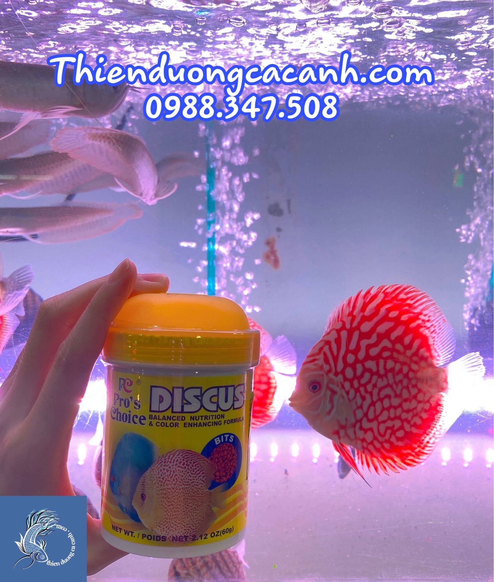 Thức Ăn Cho Cá Dĩa DISCUS Dạng Hạt - Hủ 60gram