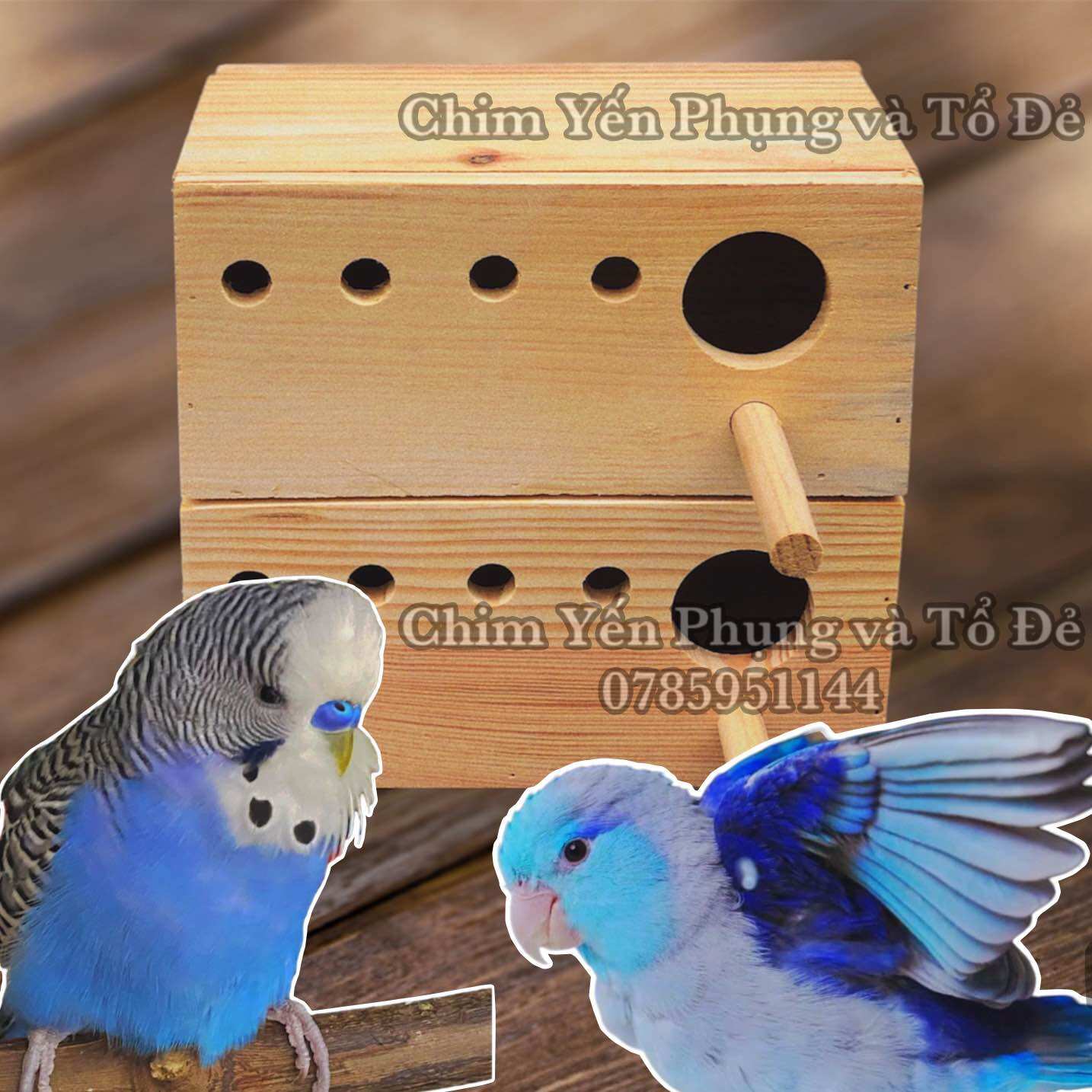 Tổ đẻ chim Yến Phụng size to [mẫu cơ bản] Gỗ thông Mỹ, làm thủ công.