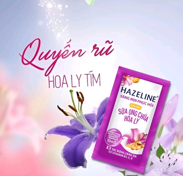 Sữa tắm Hazeline dây 12 gói