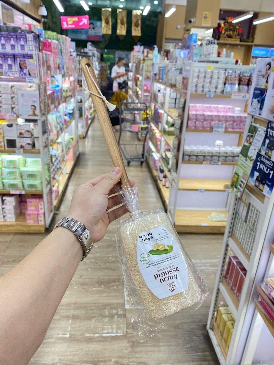 Cây sơ mướp chà lưng thái lan