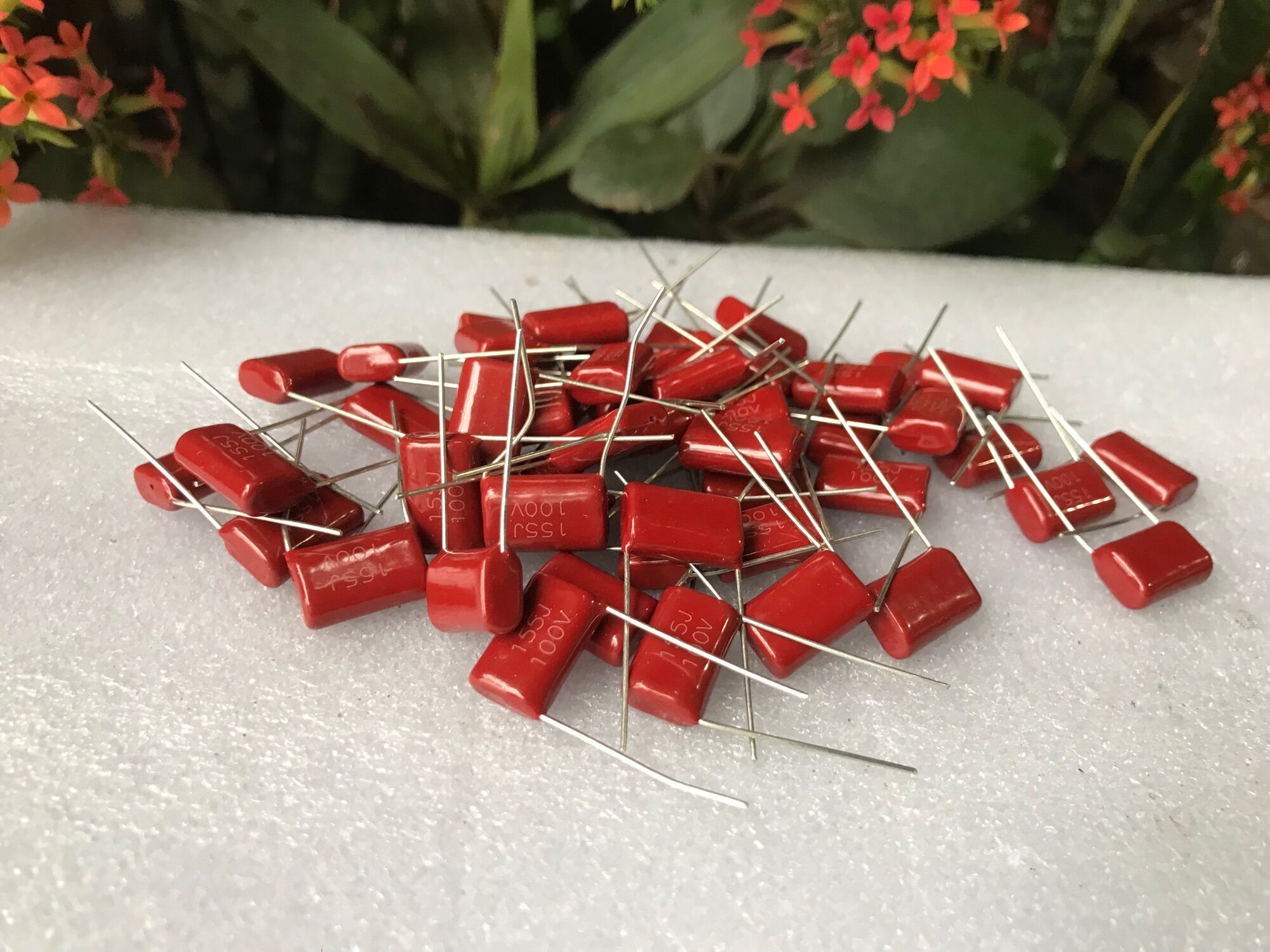 100 c Tụ 155J 100 v ( com bo 100 c )
