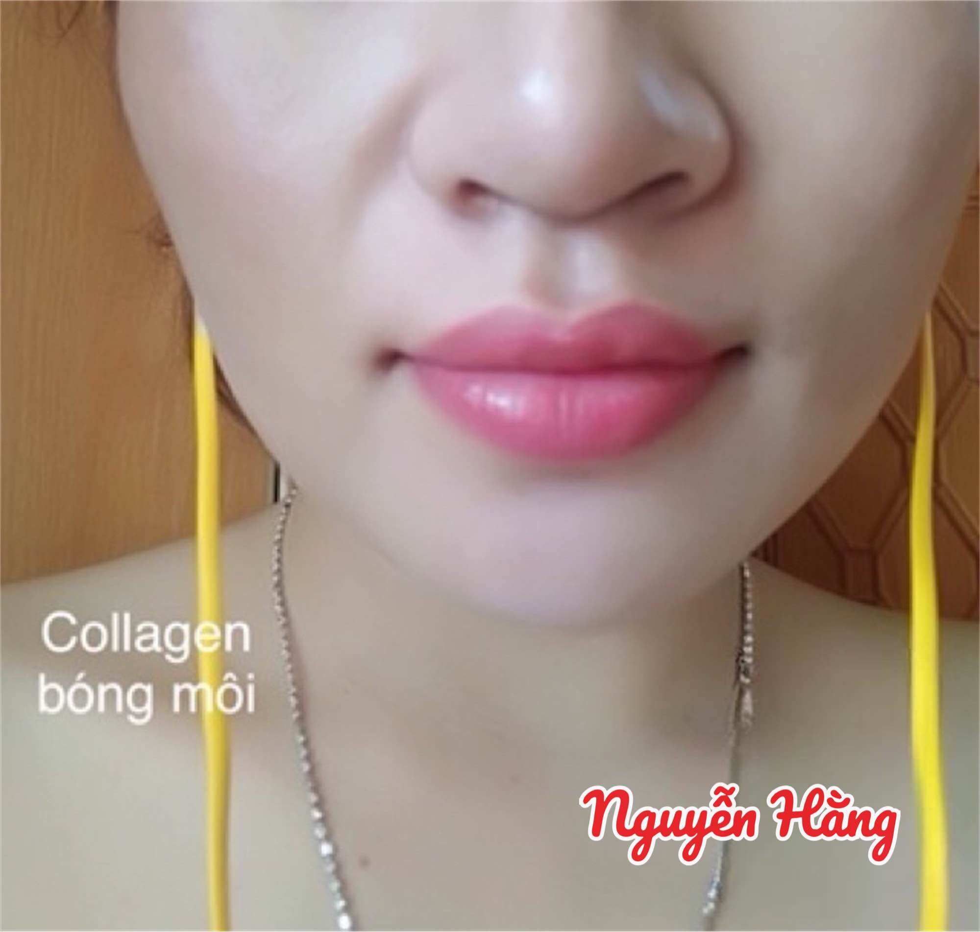 Nước pha mực phun xăm, Collagen bóng môi