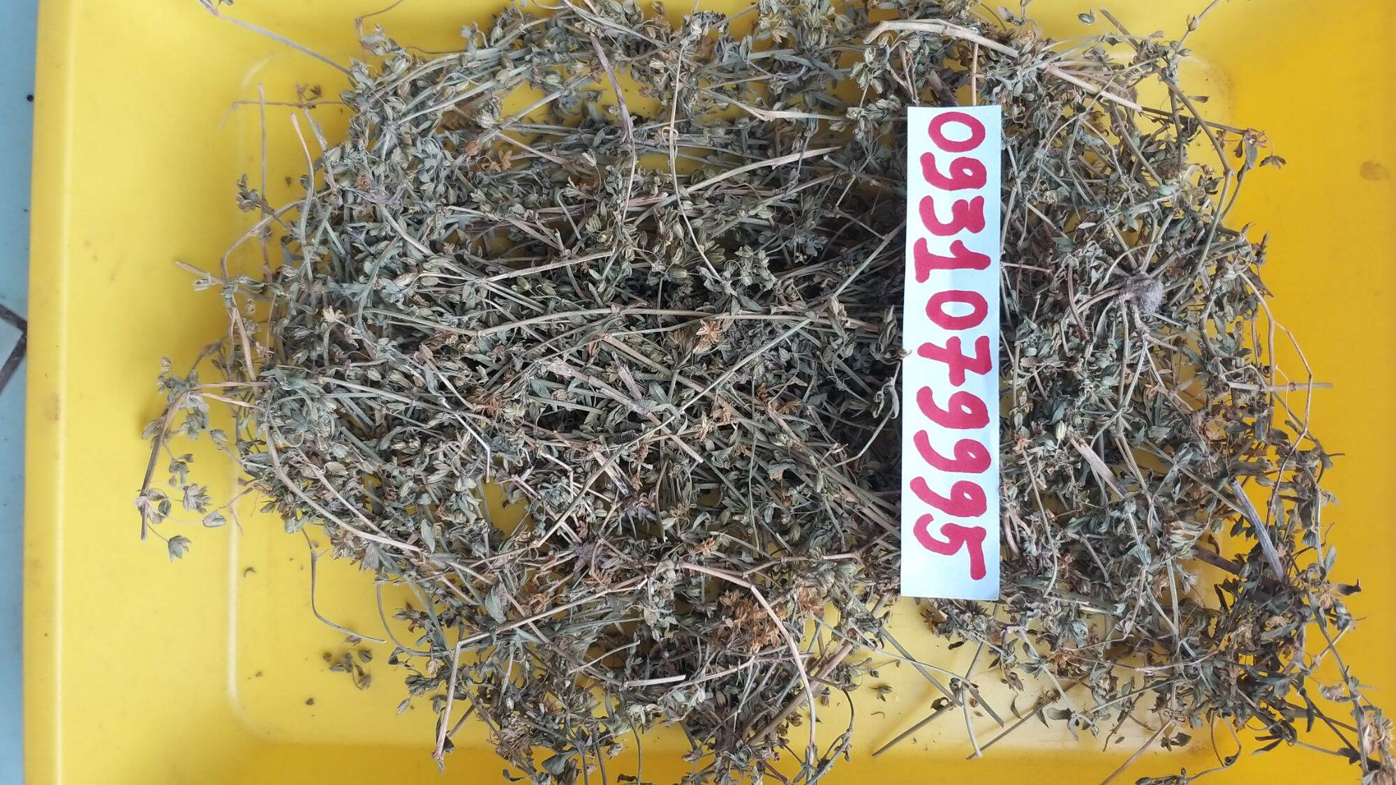 Rau đắng đất phơi khô 1kg