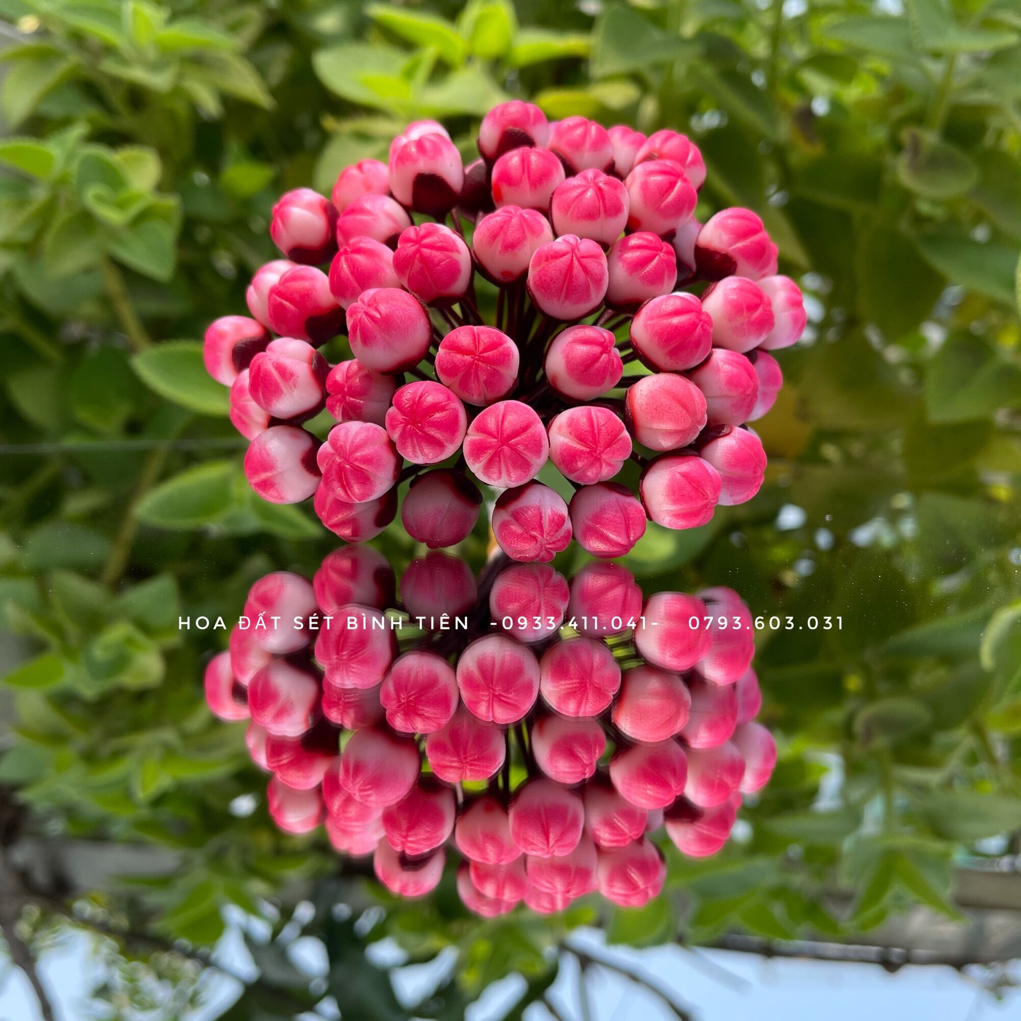 NỤ ĐÀO ĐẤT SÉT (1 BÓ 50 CÁI)
