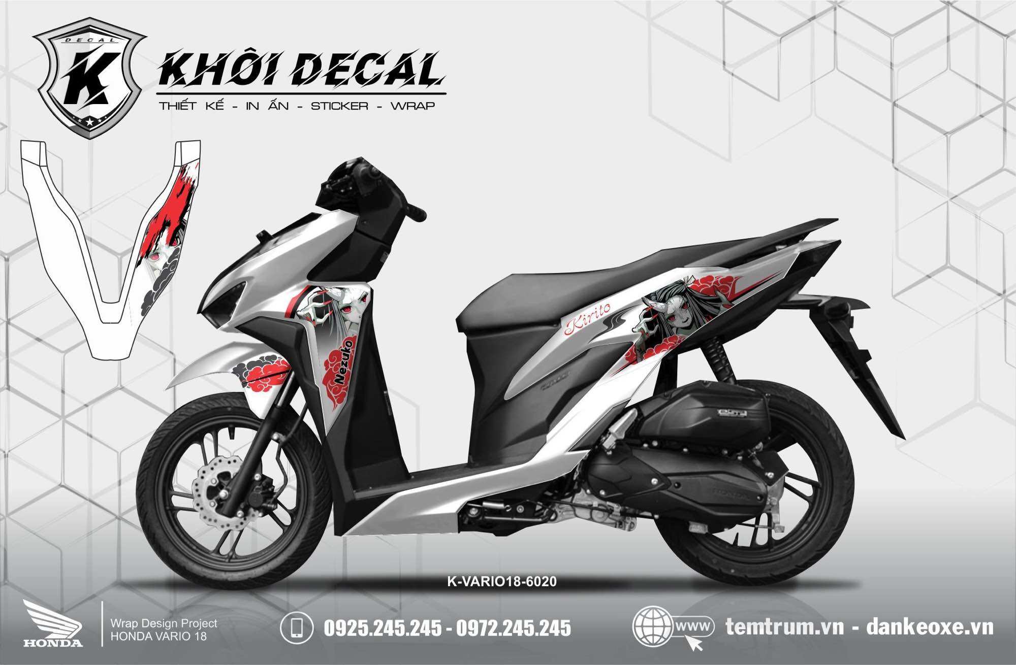 Tem vario 2018-2022
