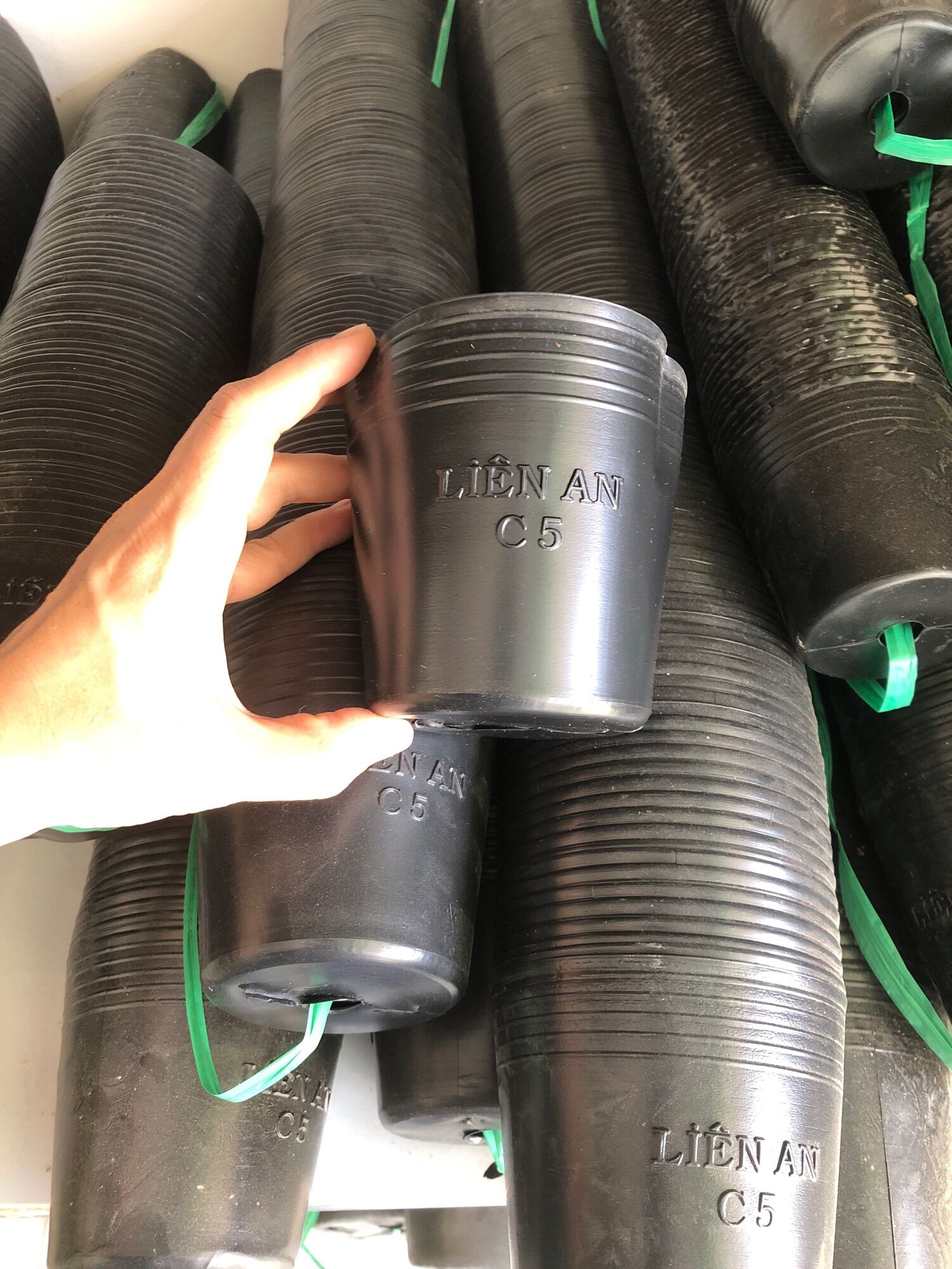 Combo 100c chậu nhựa mềm c5 kt