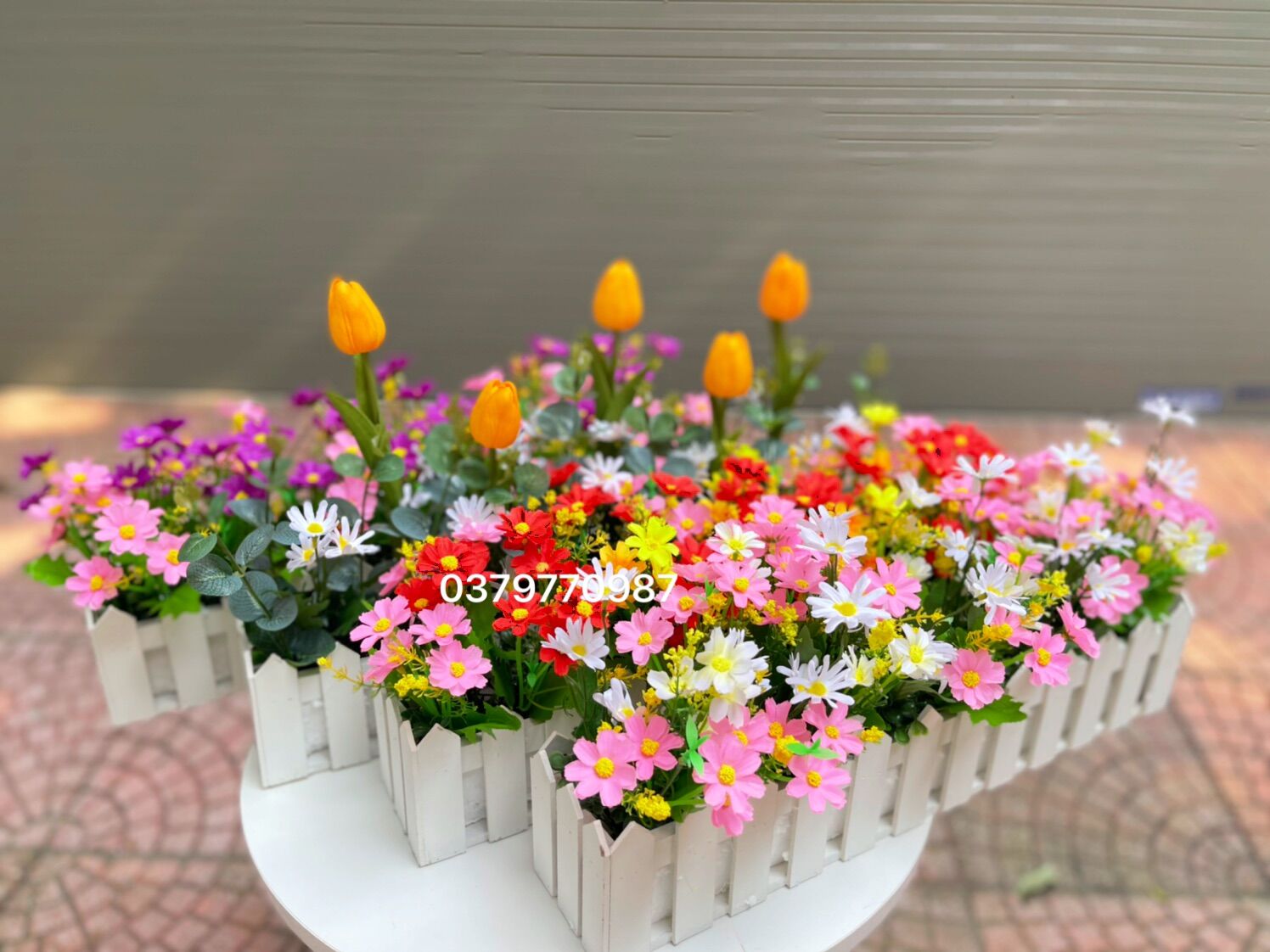 Chậu Hàng Rào Hoa cắm sẵn y hình