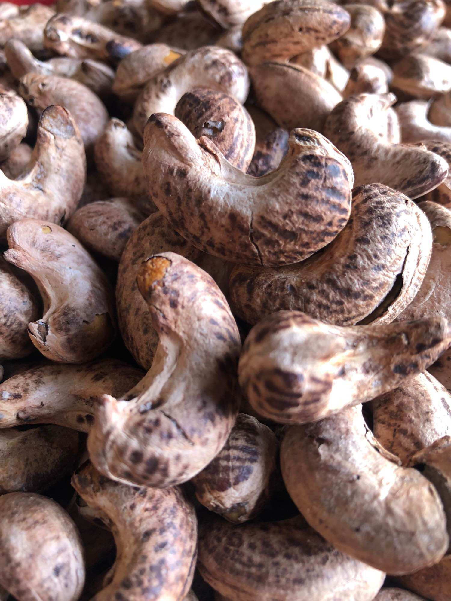 Hạt Điều Rang Muối - Hộp 500g Bình Phước Loại A
