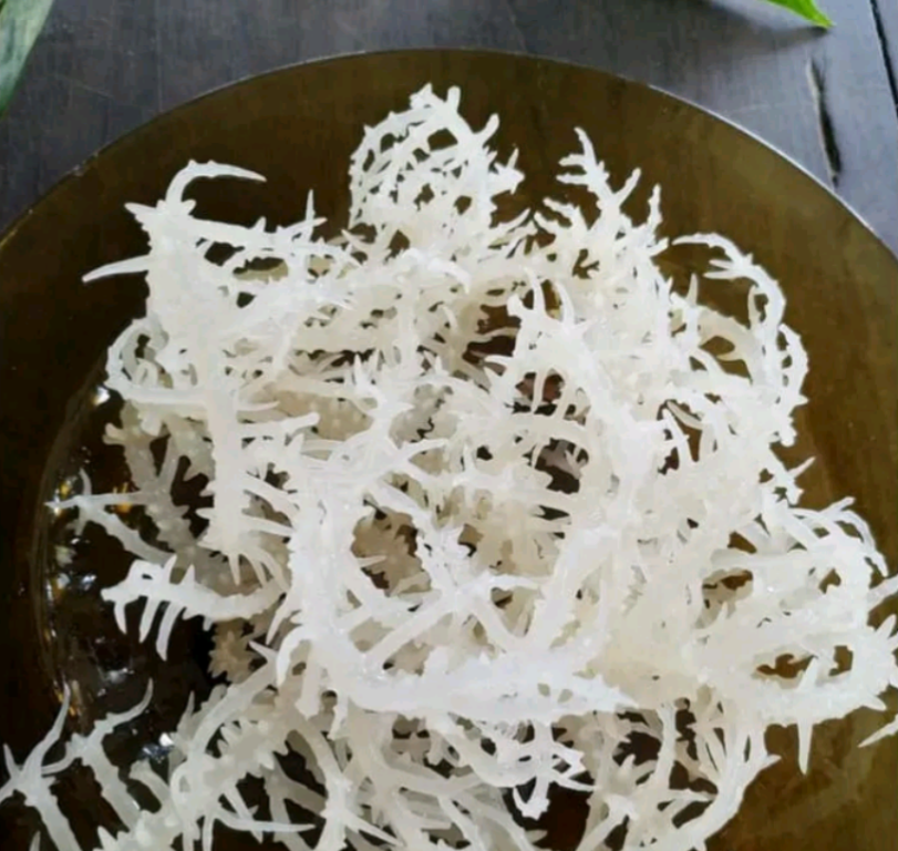 (200g)Rong Sụn Nấu Chè,Làm Gỏi