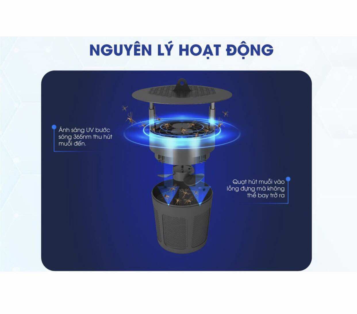 Đèn bắt muỗi Rạng Đông