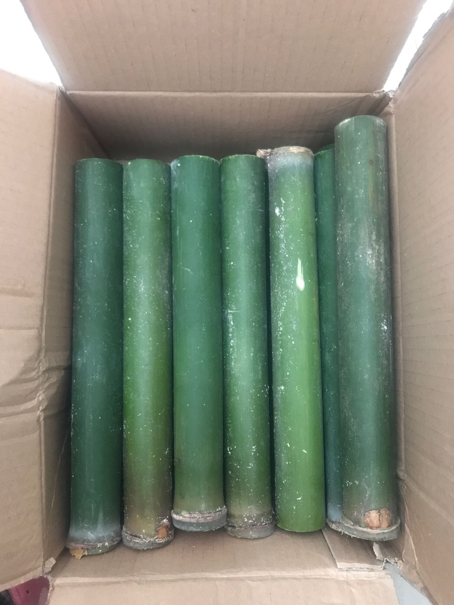 Ống tre nấu cơm lam dài 24cm