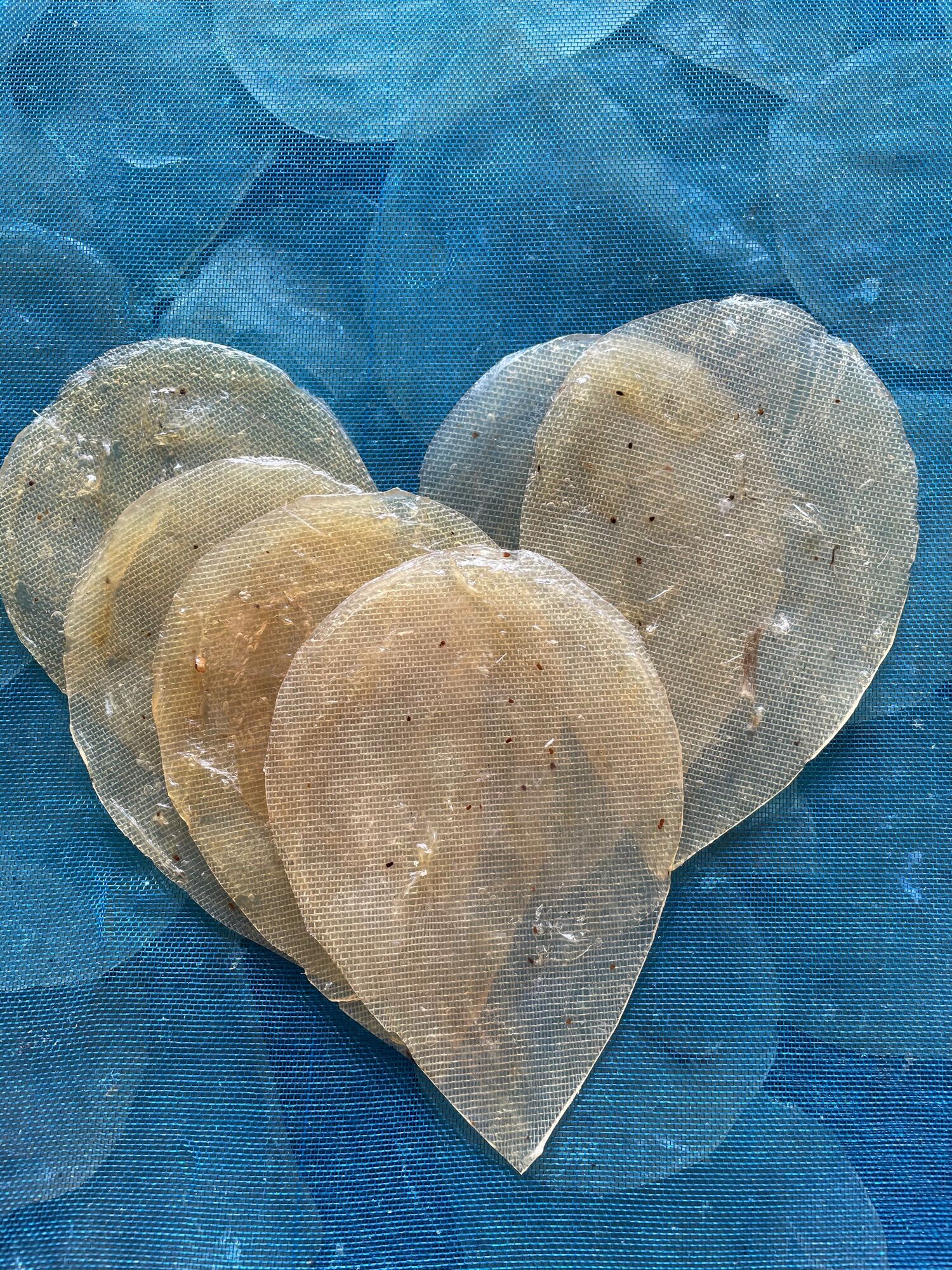 Khô Cá Chai/Cá Chai/ Cá Ghép 1KG