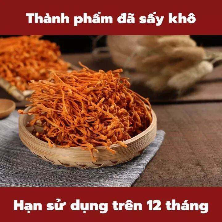 100gr Đông Trùng Hạ Thảo Khô Loại 1