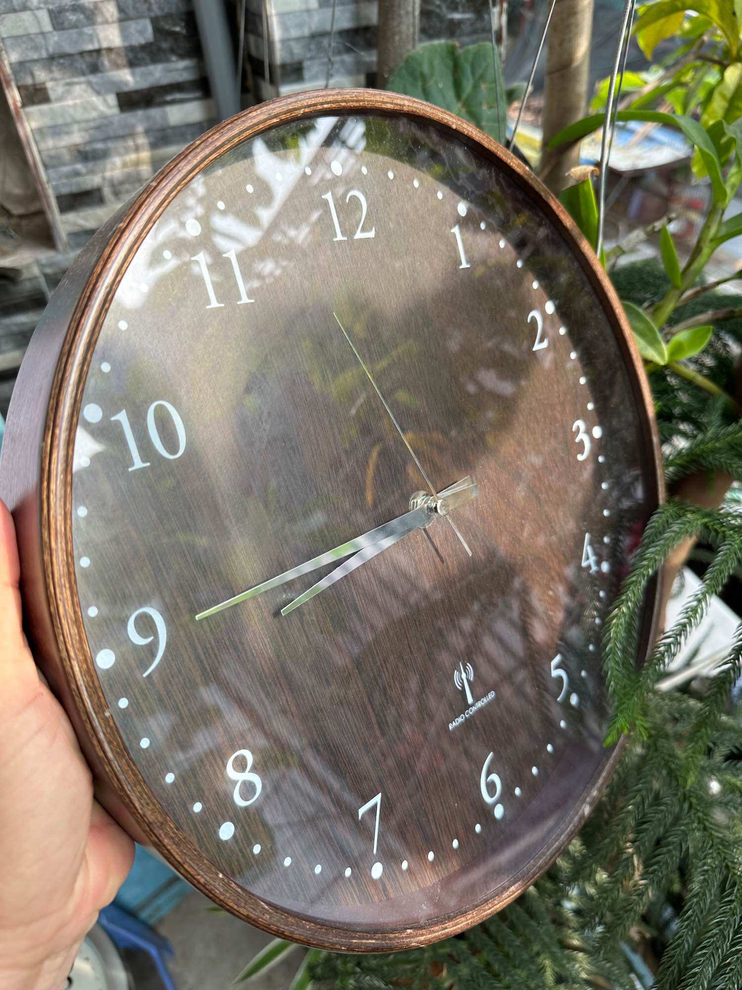 Đồng hồ treo tường nội địa nhật