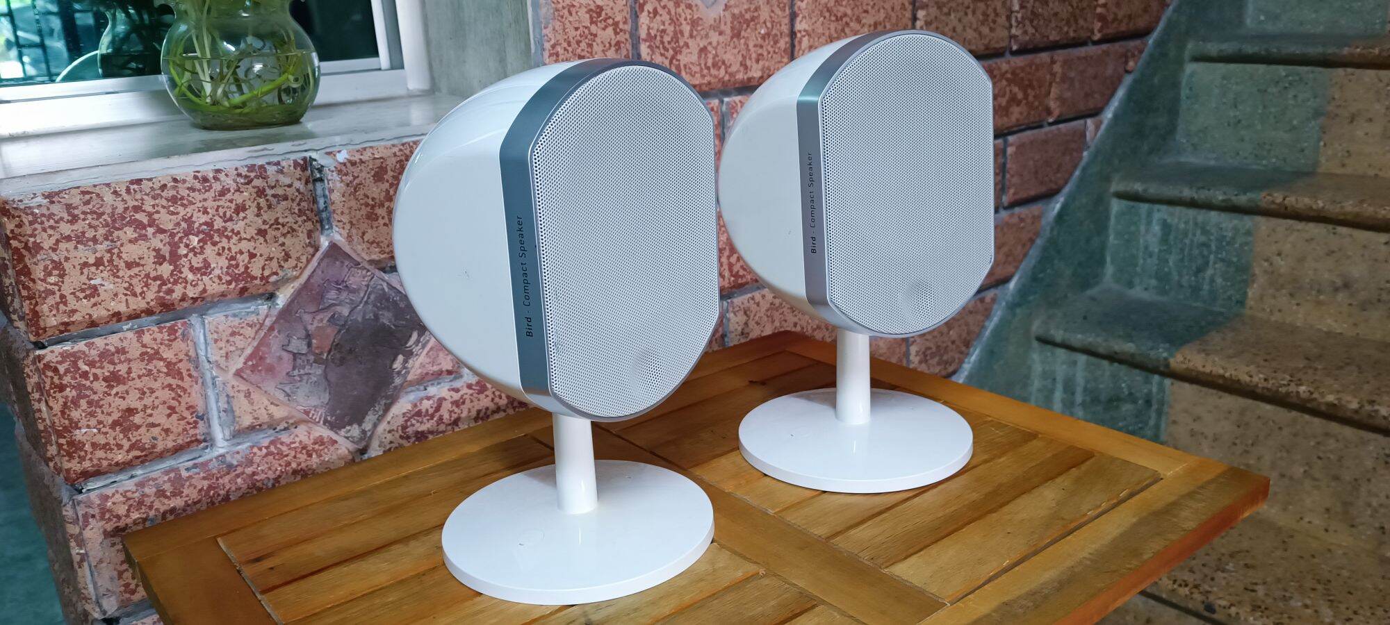 Đôi loa Focal Bird cao cấp của Pháp hát như chim hót