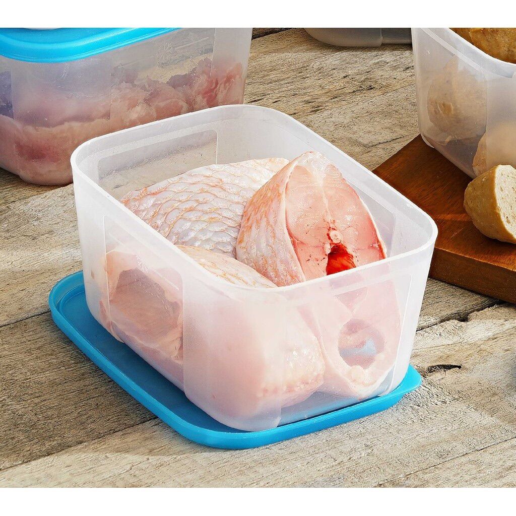 Bộ 2 hộp trữ đông 650ml Tupperware