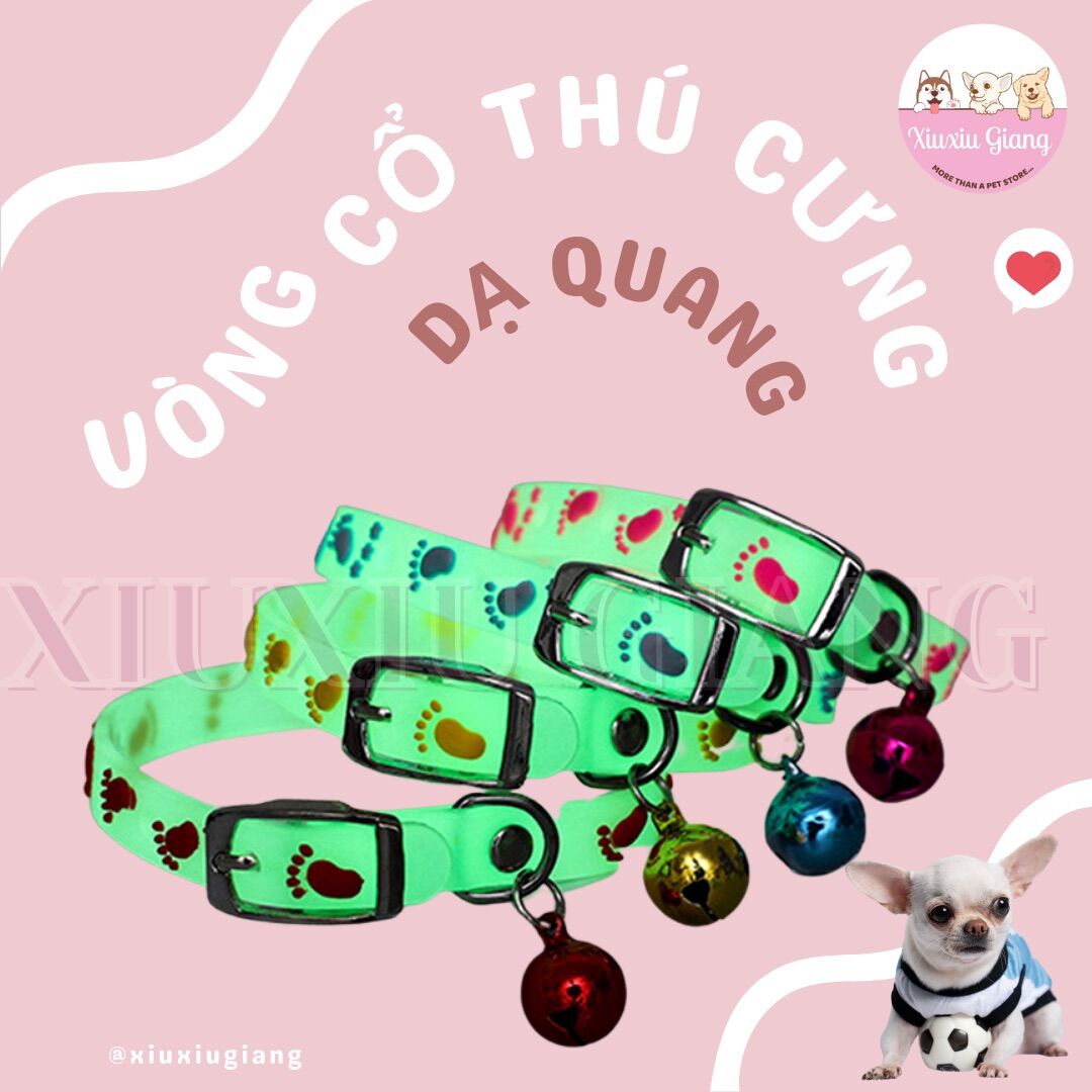 Vòng cổ dạ quang cho chó mèo thú cưng - xiuxiu giang